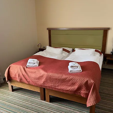 Otel Parkhotel Forest Mariánské Lázně