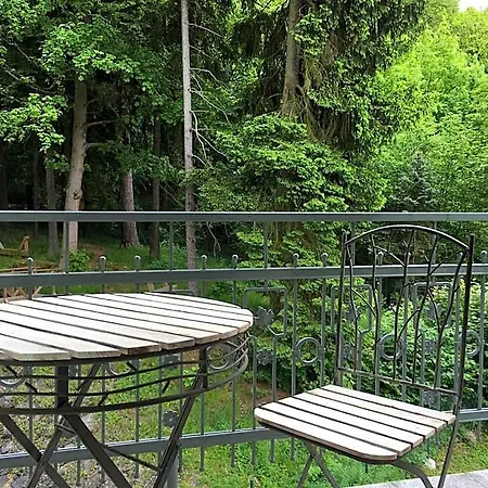 Hotel Parkhotel Forest 4*