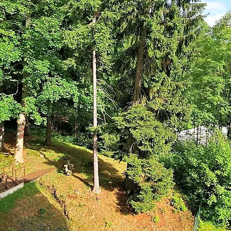Parkhotel Forest Marianske Lazne
