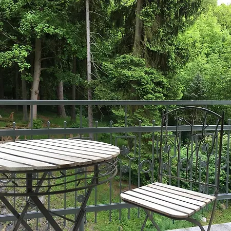 Hotel Parkhotel Forest 4*