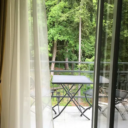 Hotel Parkhotel Forest