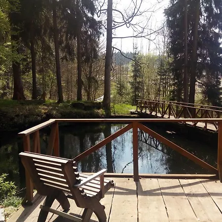 Parkhotel Forest