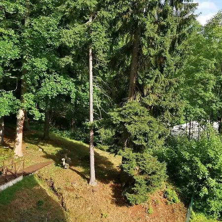 Parkhotel Forest 4*