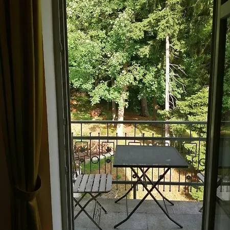 Parkhotel Forest Otel Mariánské Lázně