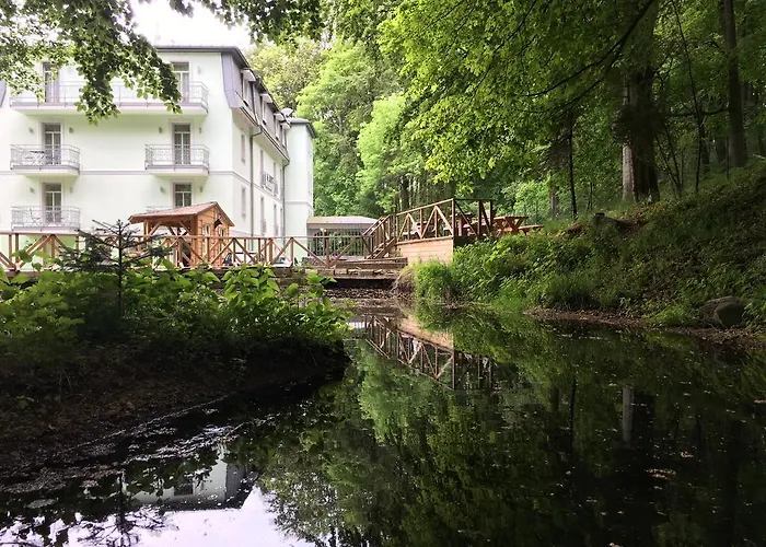 Hotel Parkhotel Forest 4*